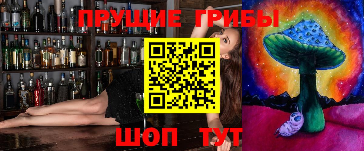 Петрозаводск  где купить наркотик  Вход с VPN  Псилоцибиновые грибы Cubensis 